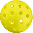 pickleball Icon